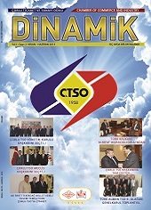 Dinamik Say 2