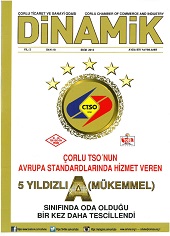 Dinamik 18