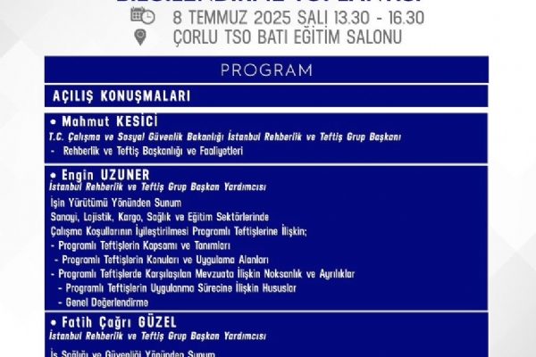 2025 Yılında Yürütülen Sektörel Bazlı Programlı Teftişlerle İlgili Bilgilendirme Toplantısı