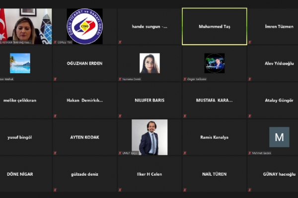 Mikro ve Küçük İşletmelere Hızlı Destek Programı Toplantısı Online Olarak Gerçekleşti